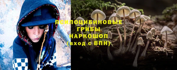 синтетический гашиш Белокуриха