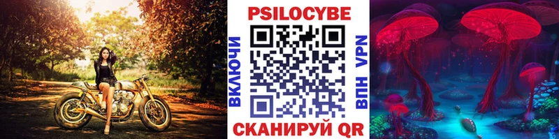 Псилоцибиновые грибы Psilocybe  блэк спрут сайт  Ялуторовск 